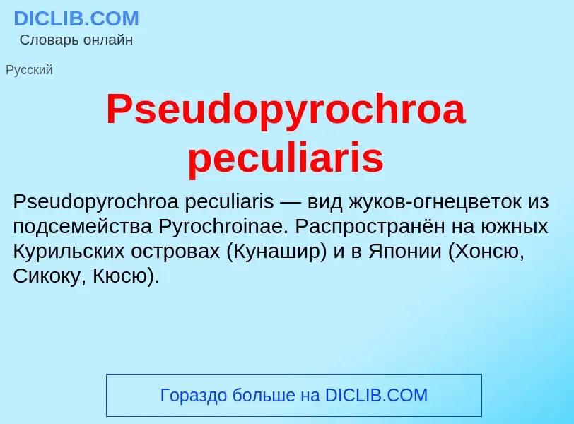 Wat is Pseudopyrochroa peculiaris - definition