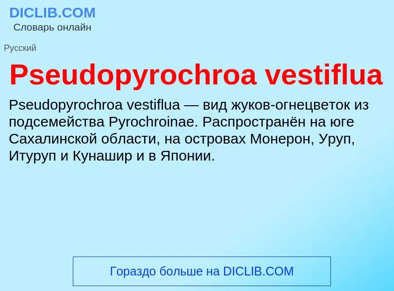 Wat is Pseudopyrochroa vestiflua - definition