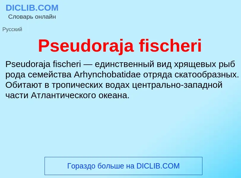 Wat is Pseudoraja fischeri - definition