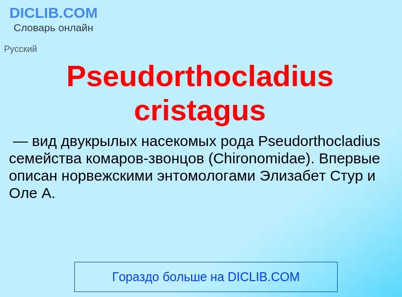 Wat is Pseudorthocladius cristagus - definition