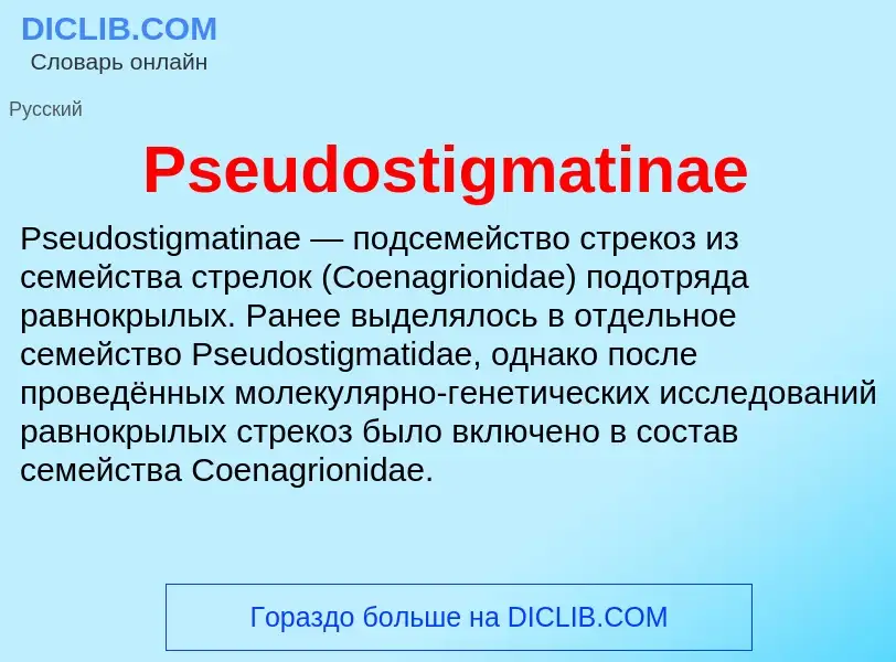 Wat is Pseudostigmatinae - definition