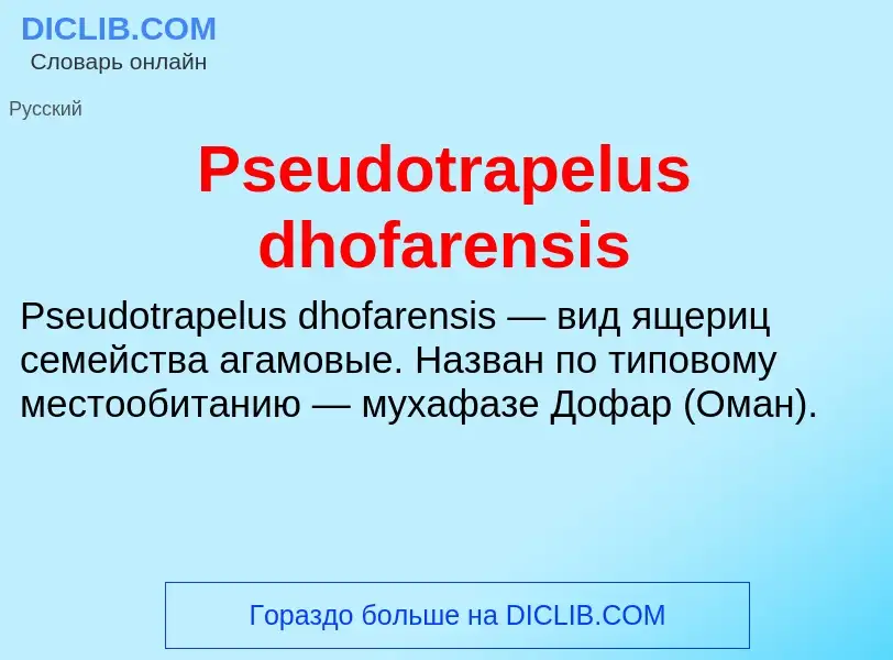 Wat is Pseudotrapelus dhofarensis - definition