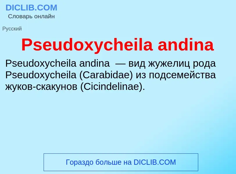 Wat is Pseudoxycheila andina - definition