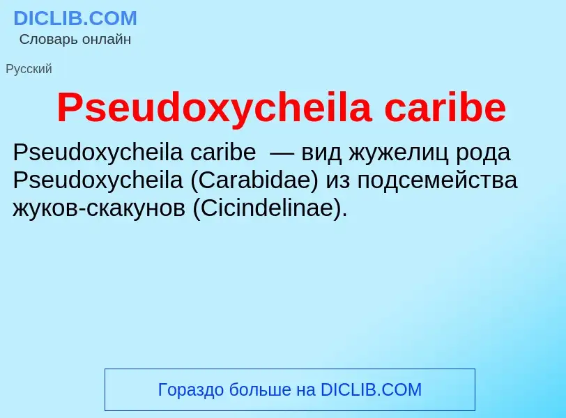 Wat is Pseudoxycheila caribe - definition