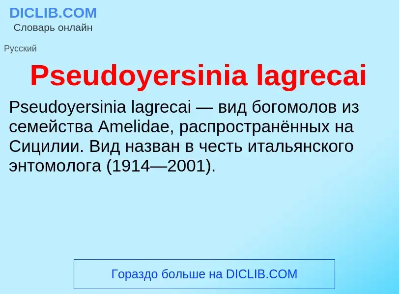 Wat is Pseudoyersinia lagrecai - definition