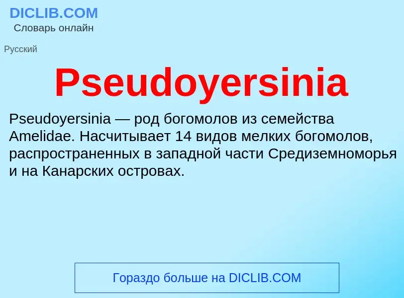 Что такое Pseudoyersinia - определение