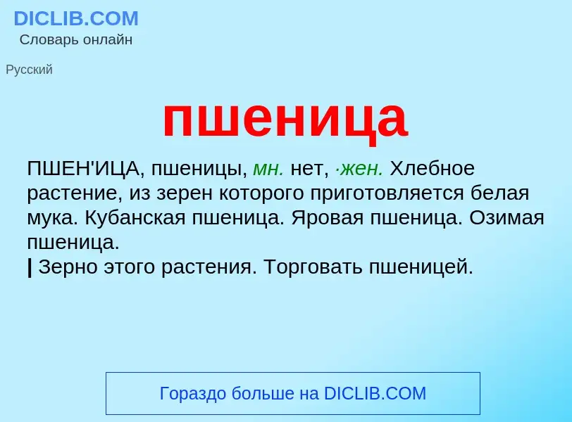 Wat is пшеница - definition