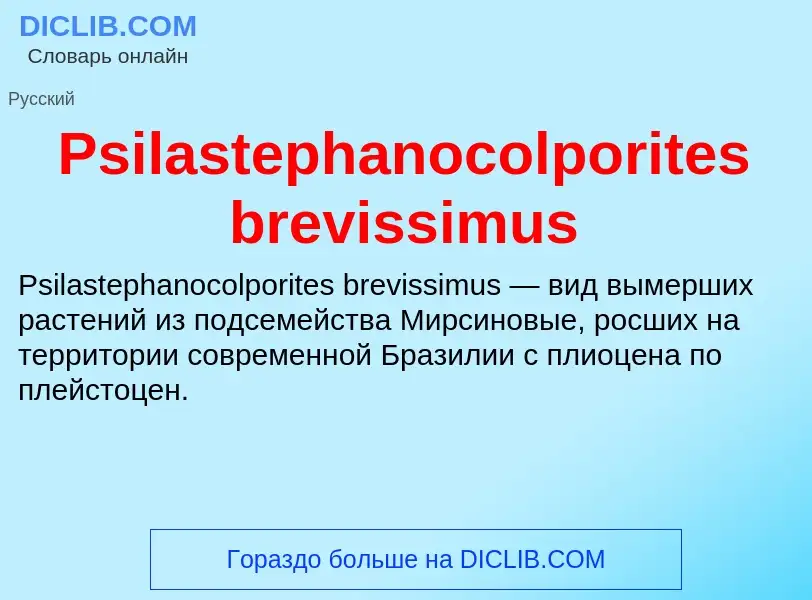 Wat is Psilastephanocolporites brevissimus - definition