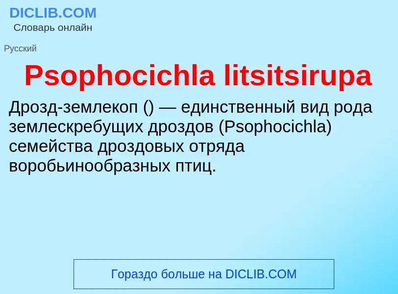 Wat is Psophocichla litsitsirupa - definition