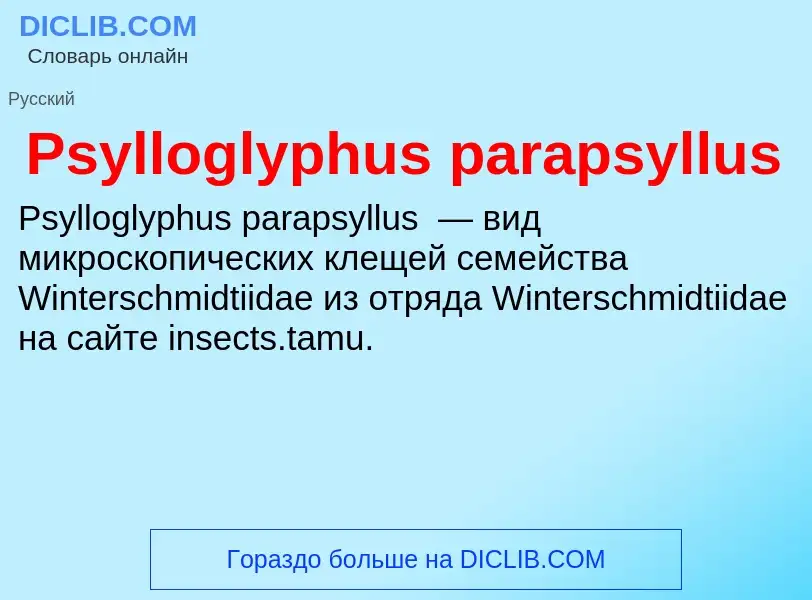 Wat is Psylloglyphus parapsyllus - definition