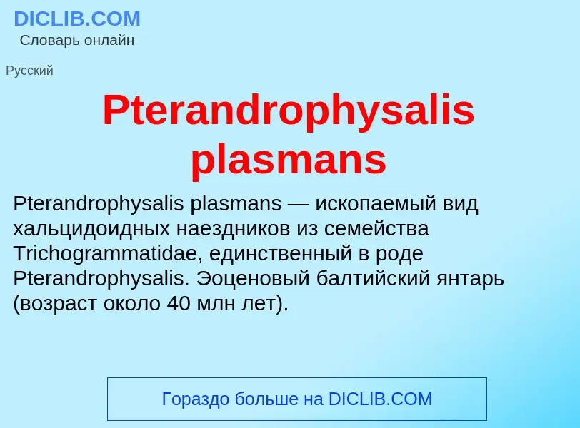 Wat is Pterandrophysalis plasmans - definition