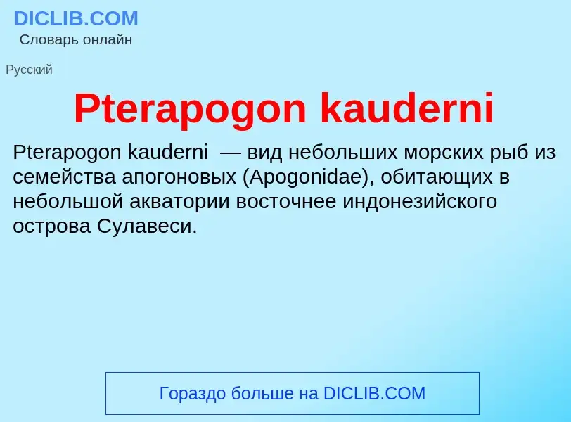 Wat is Pterapogon kauderni - definition