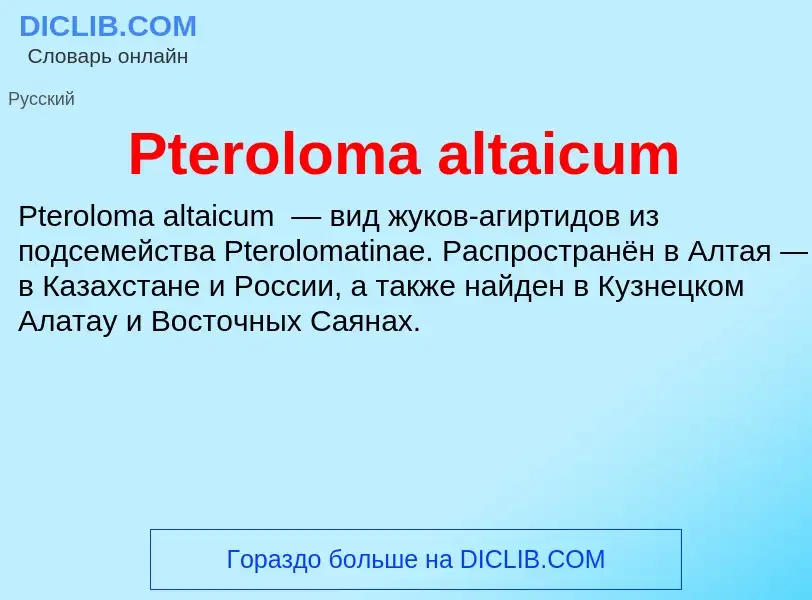 Wat is Pteroloma altaicum - definition