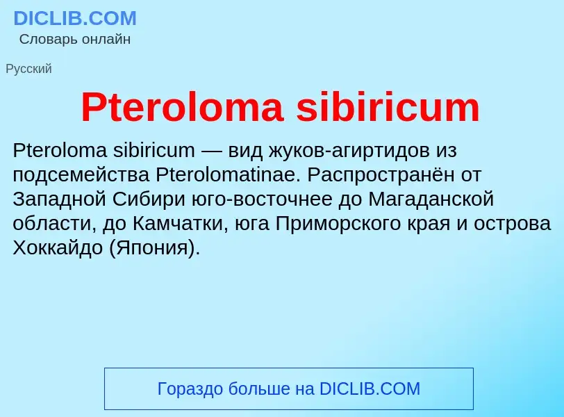 Wat is Pteroloma sibiricum - definition