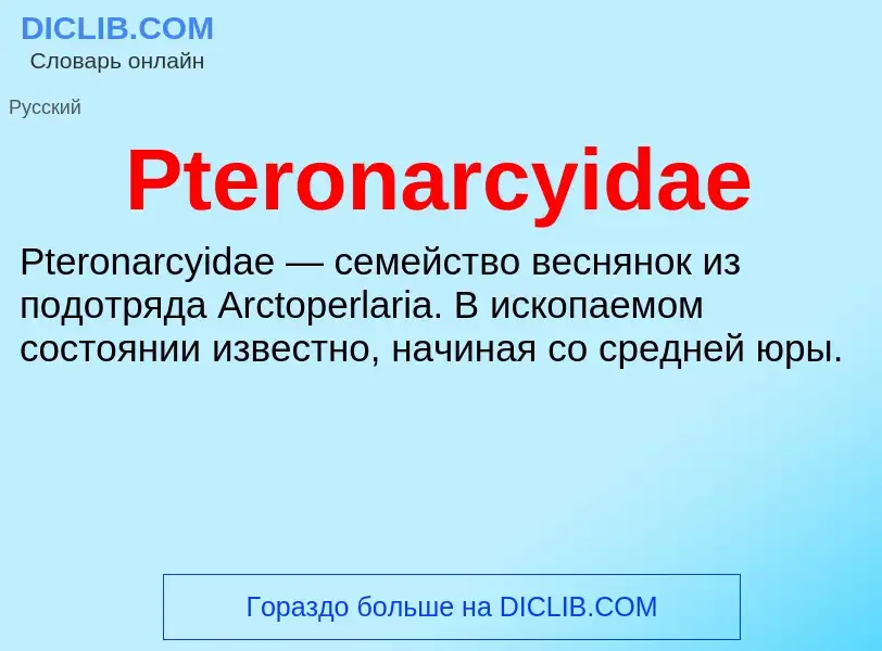 Wat is Pteronarcyidae - definition