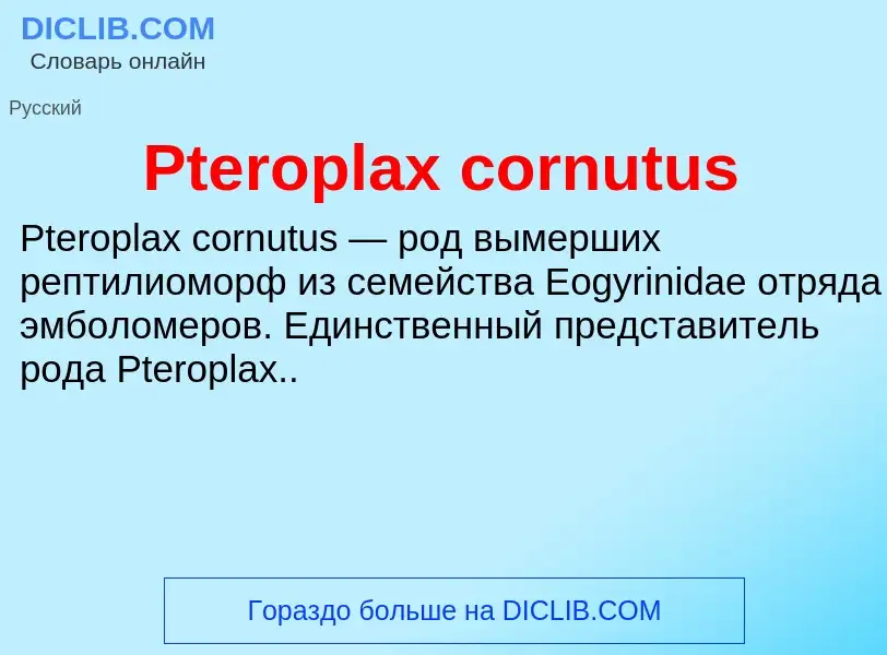 Wat is Pteroplax cornutus - definition