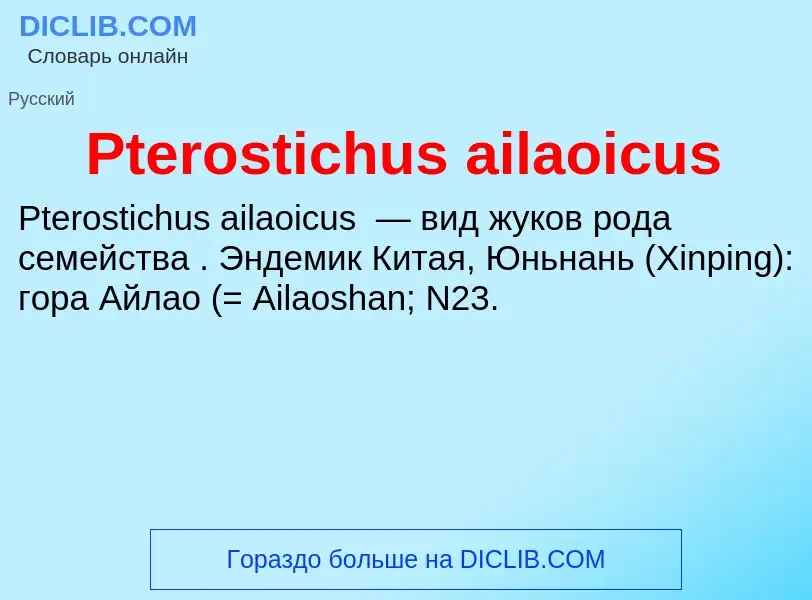 Что такое Pterostichus ailaoicus - определение