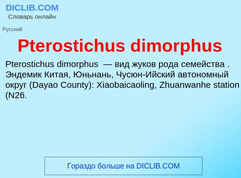 Wat is Pterostichus dimorphus - definition