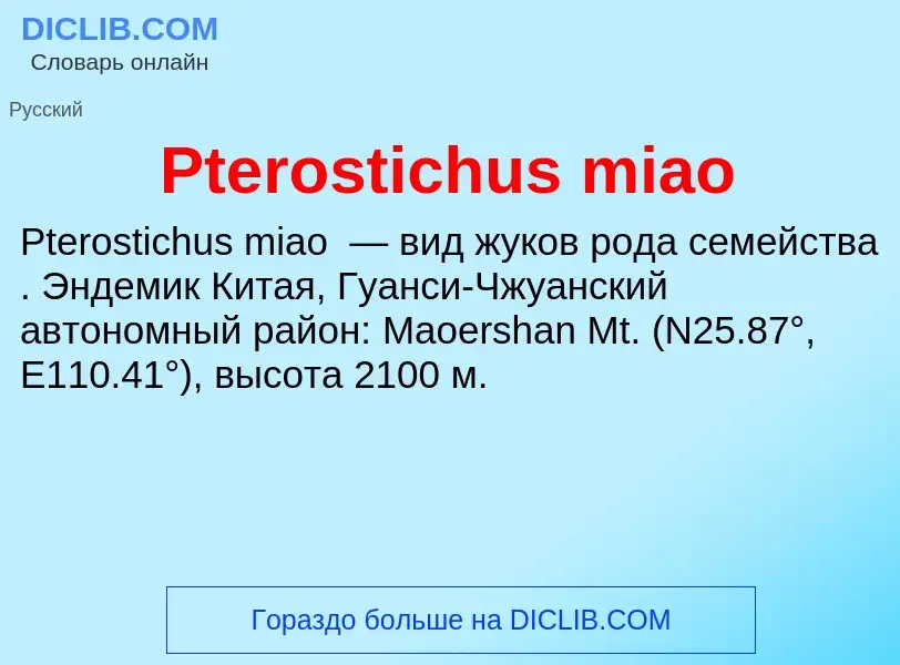 Wat is Pterostichus miao - definition