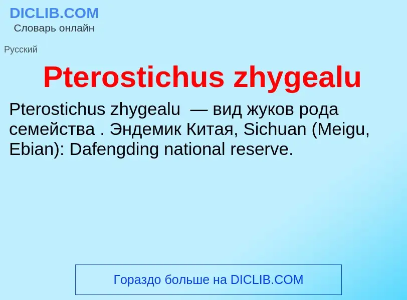 Wat is Pterostichus zhygealu - definition