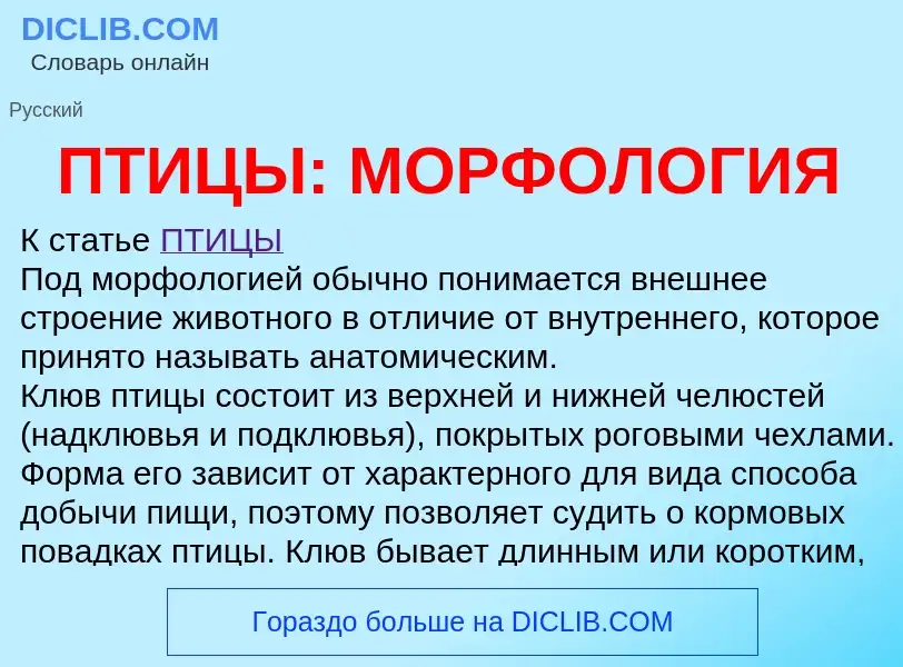 Что такое ПТИЦЫ: МОРФОЛОГИЯ - определение