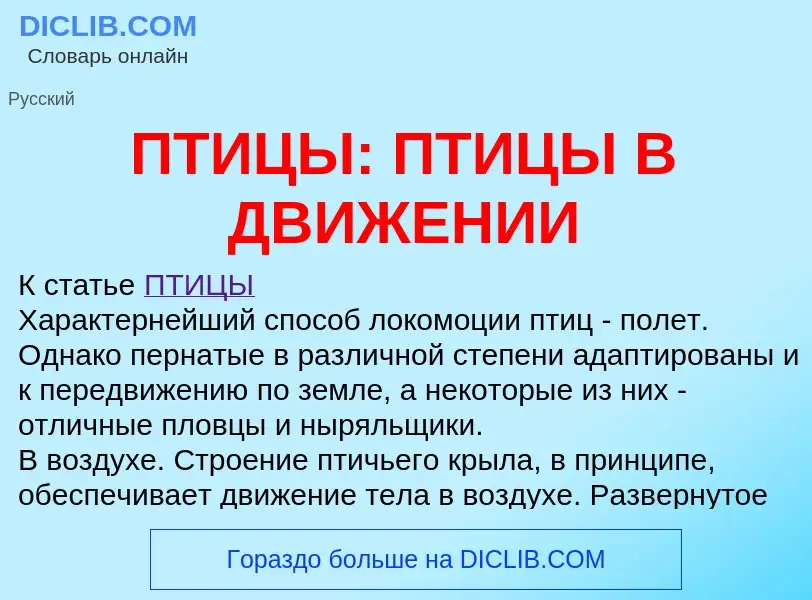 Qu'est-ce que ПТИЦЫ: ПТИЦЫ В ДВИЖЕНИИ - définition