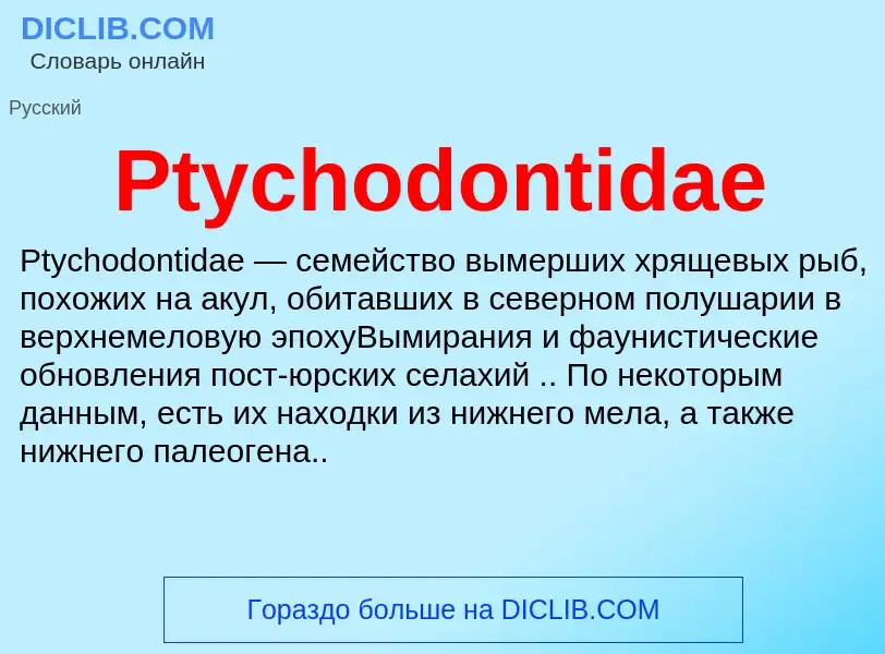 Wat is Ptychodontidae - definition