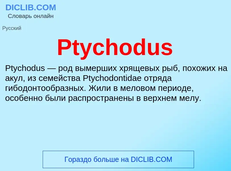 Wat is Ptychodus - definition