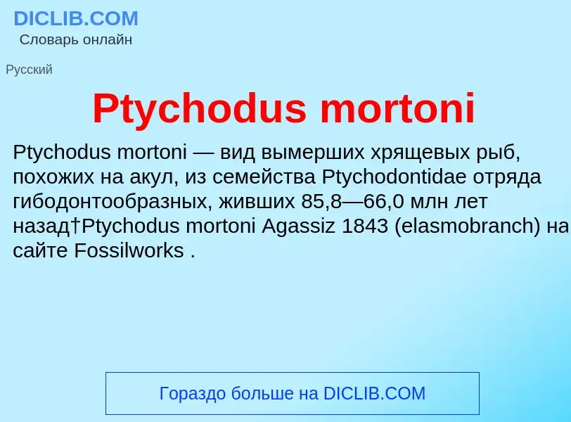 Wat is Ptychodus mortoni - definition