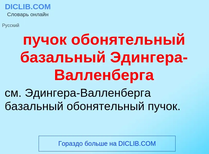 Τι είναι пучок обонятельный базальный Эдингера-Валленберга - ορισμός