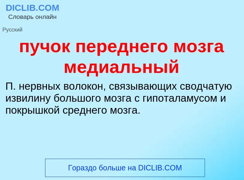 Τι είναι пучок переднего мозга медиальный - ορισμός