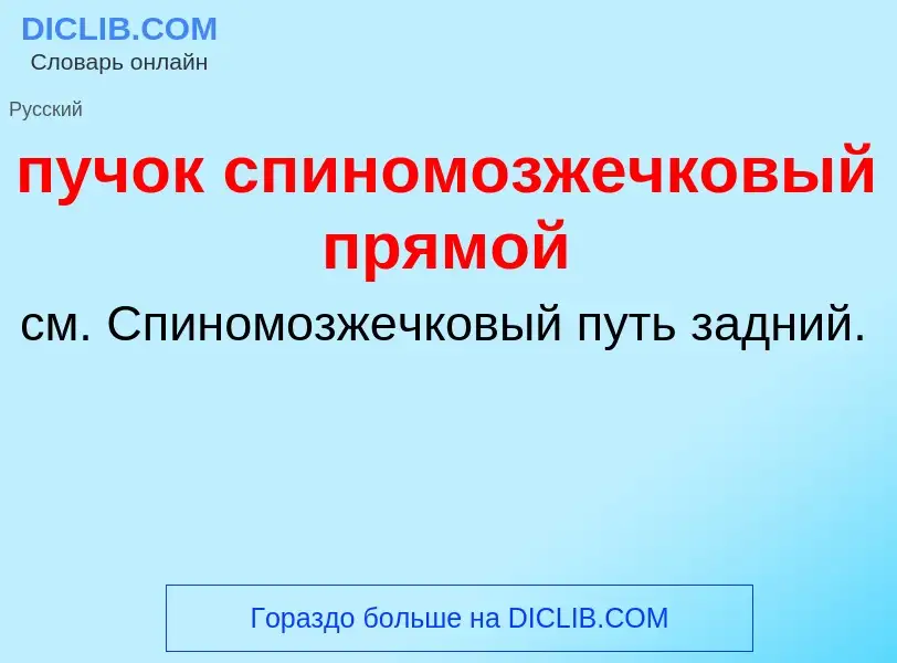 Τι είναι пучок спиномозжечковый прямой - ορισμός