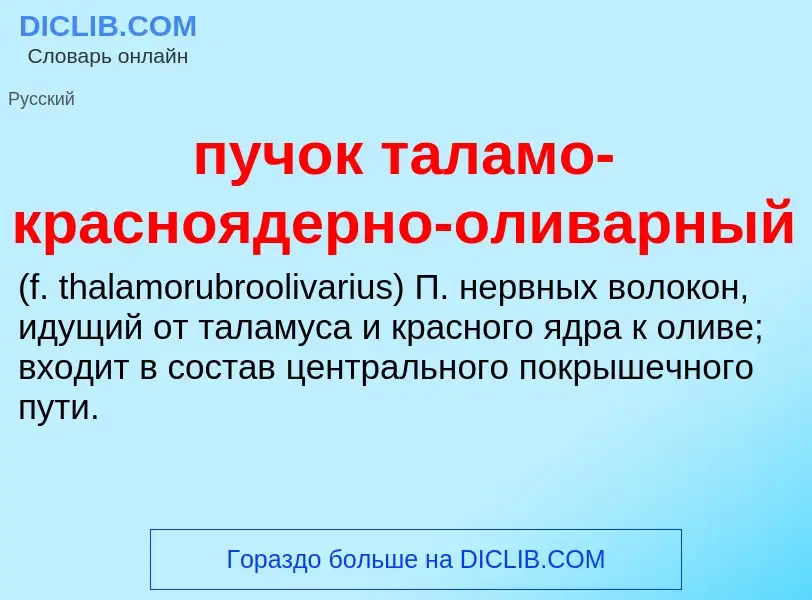 Che cos'è пучок таламо-красноядерно-оливарный  - definizione