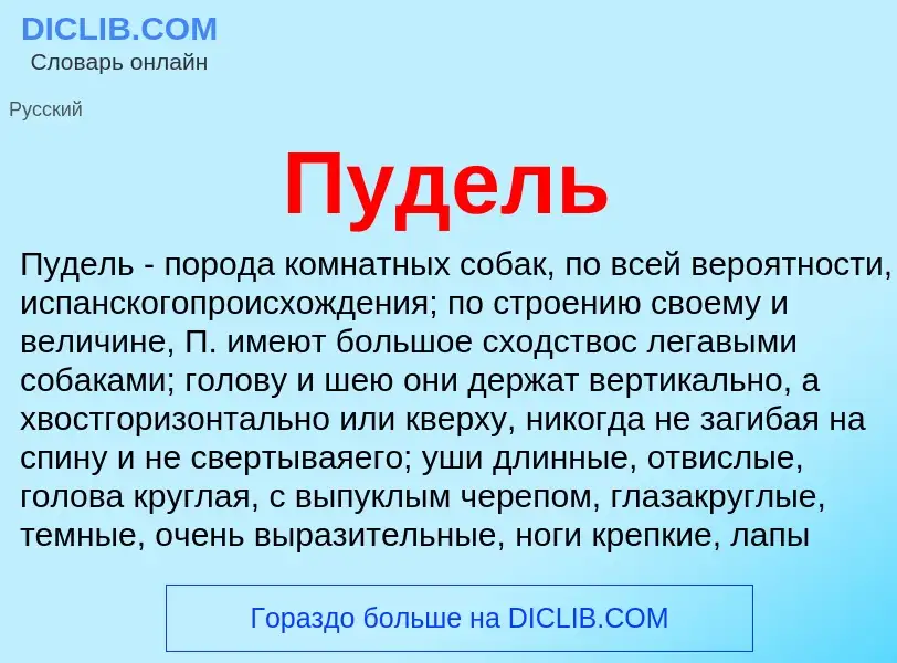 Что такое Пудель - определение