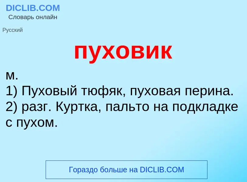 Wat is пуховик - definition