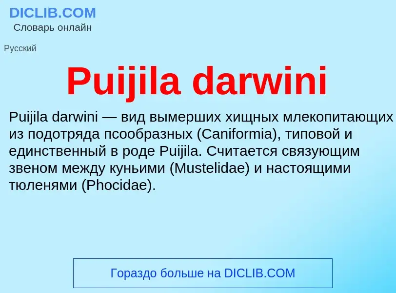 Wat is Puijila darwini - definition