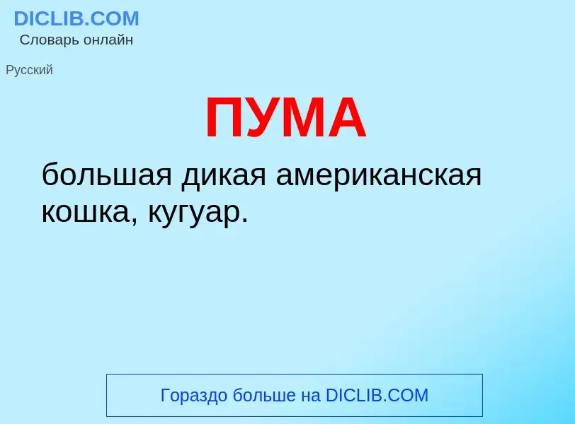 Wat is ПУМА - definition