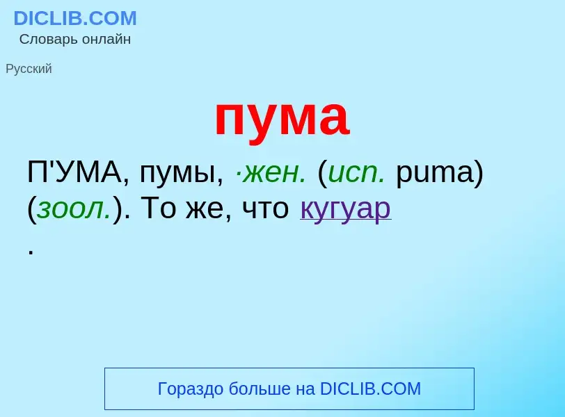 What is пума - definition