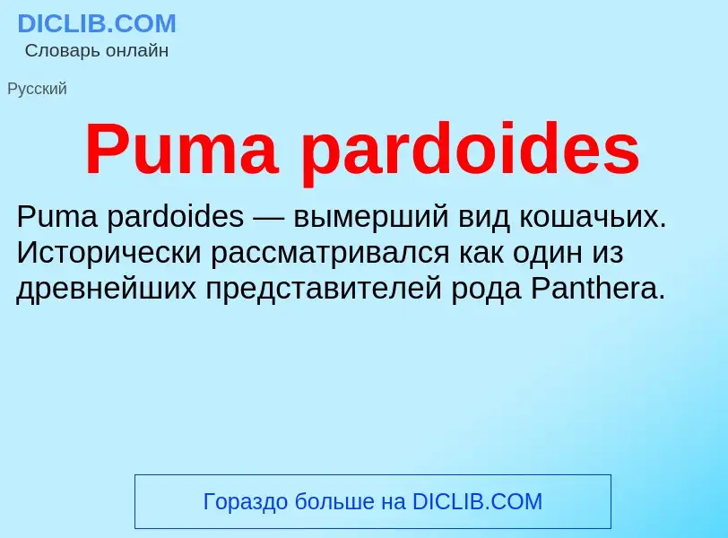 Wat is Puma pardoides - definition