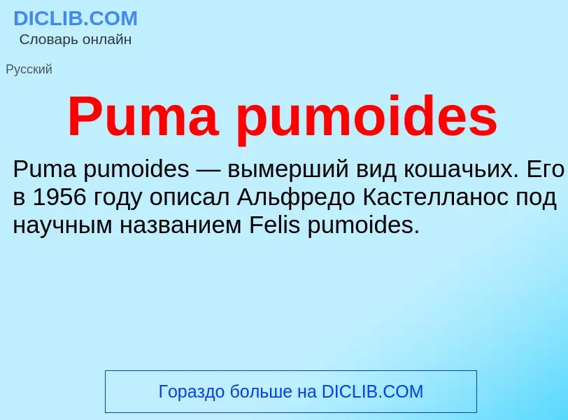 Wat is Puma pumoides - definition