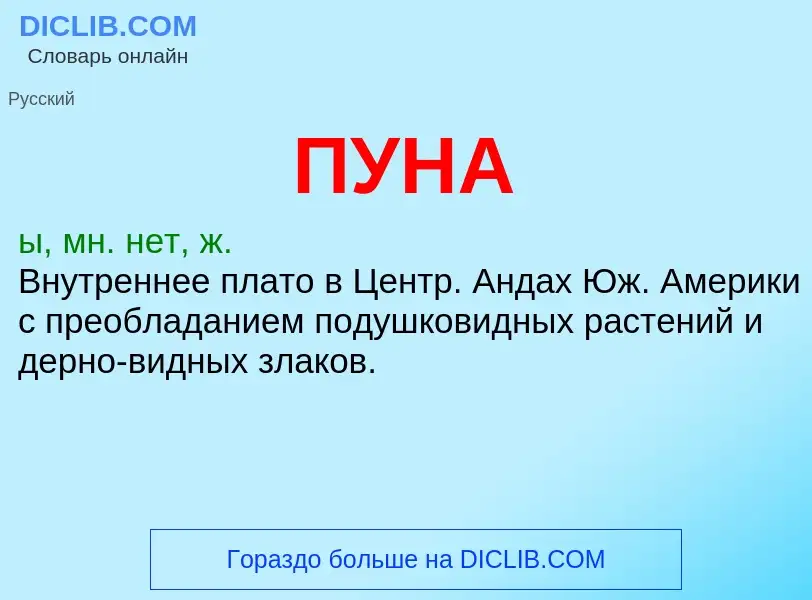 What is ПУНА - definition