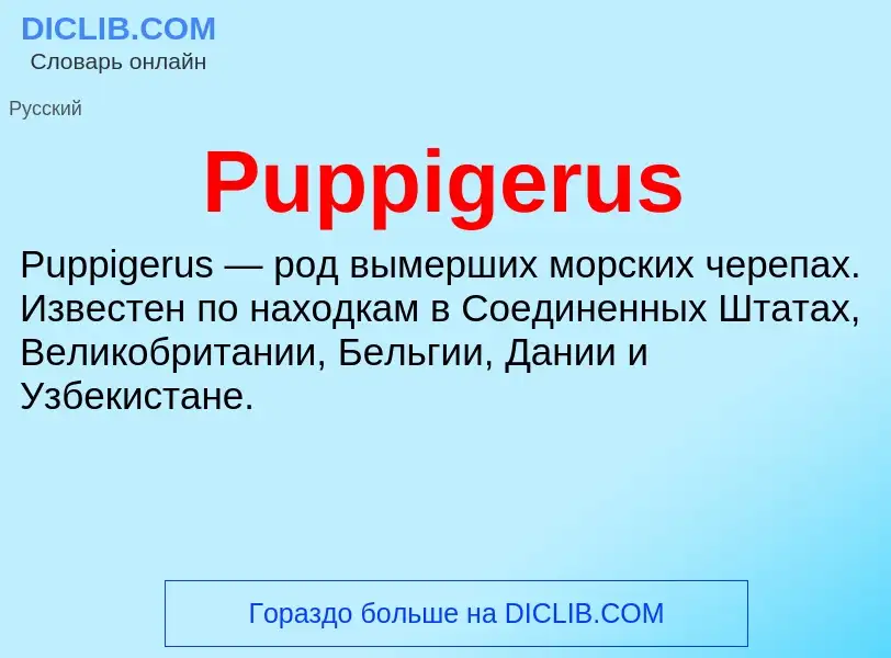 Wat is Puppigerus - definition