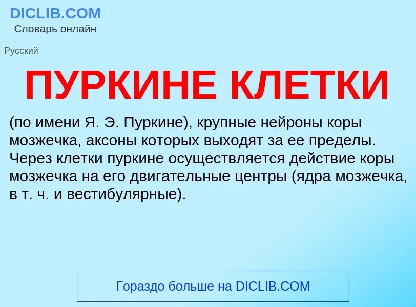 Wat is ПУРКИНЕ КЛЕТКИ - definition