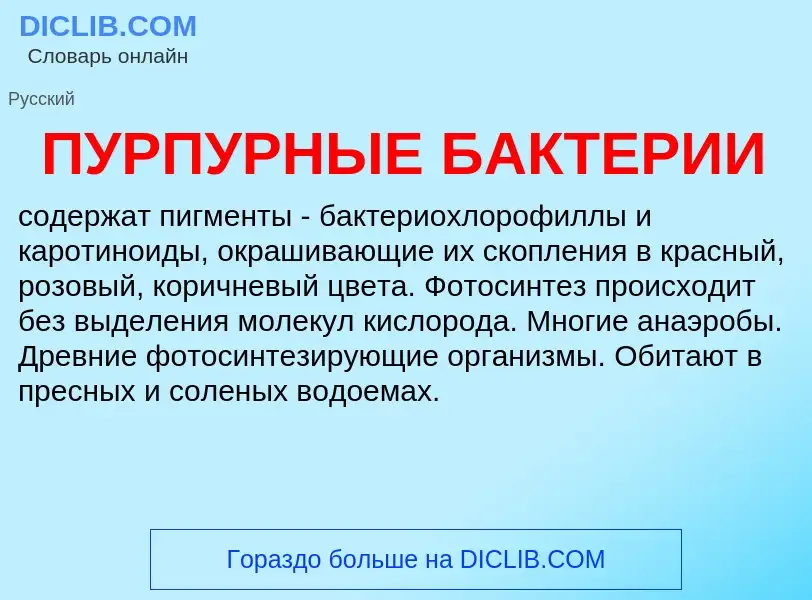 What is ПУРПУРНЫЕ БАКТЕРИИ - definition