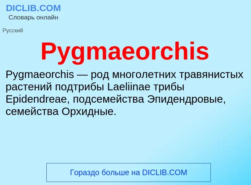 Τι είναι Pygmaeorchis - ορισμός