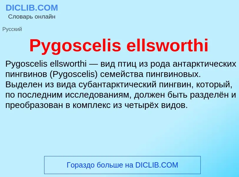 Что такое Pygoscelis ellsworthi - определение