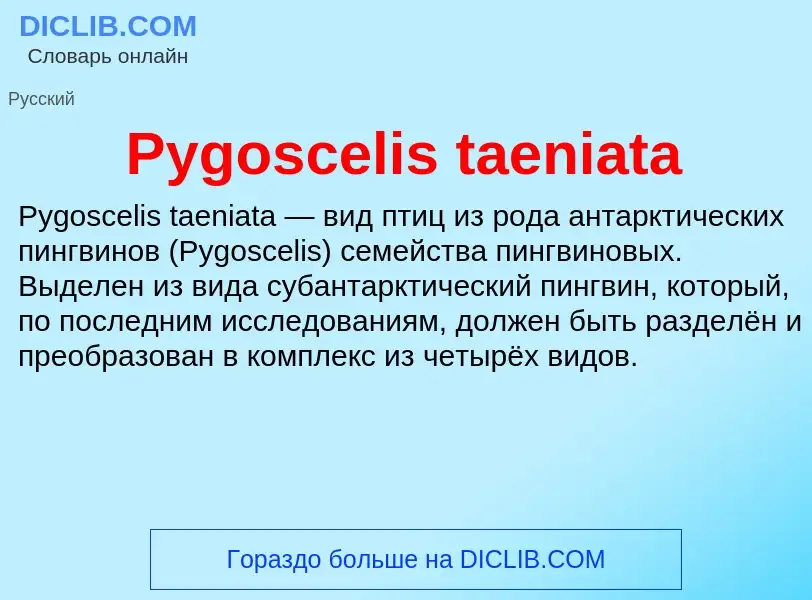 Τι είναι Pygoscelis taeniata - ορισμός