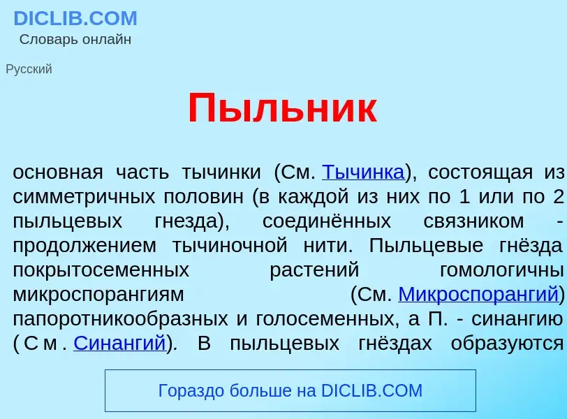 Wat is П<font color="red">ы</font>льник - definition