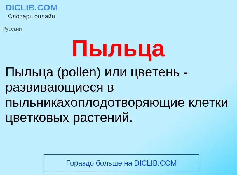 What is Пыльца - definition