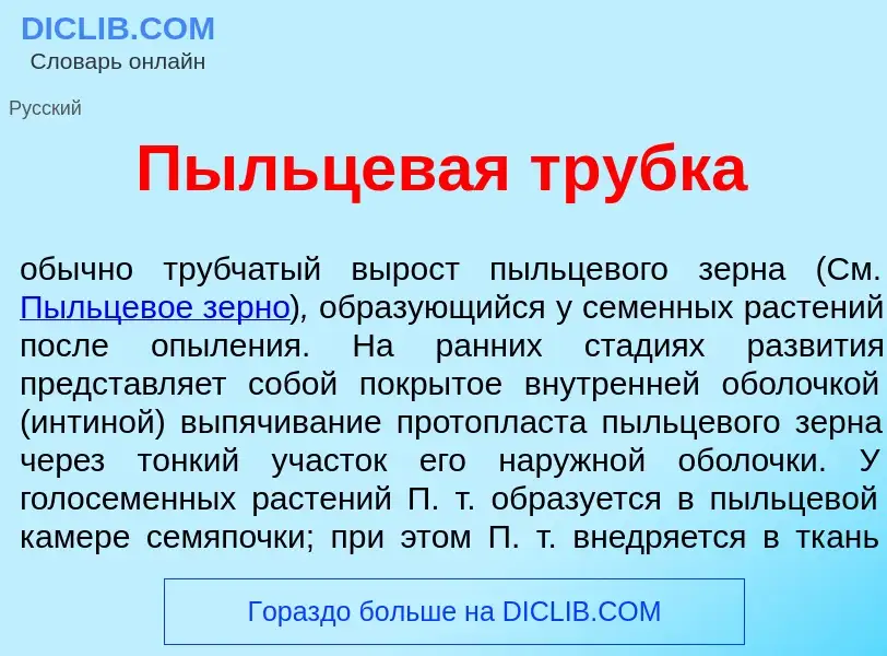 What is Пыльцев<font color="red">а</font>я тр<font color="red">у</font>бка - definition